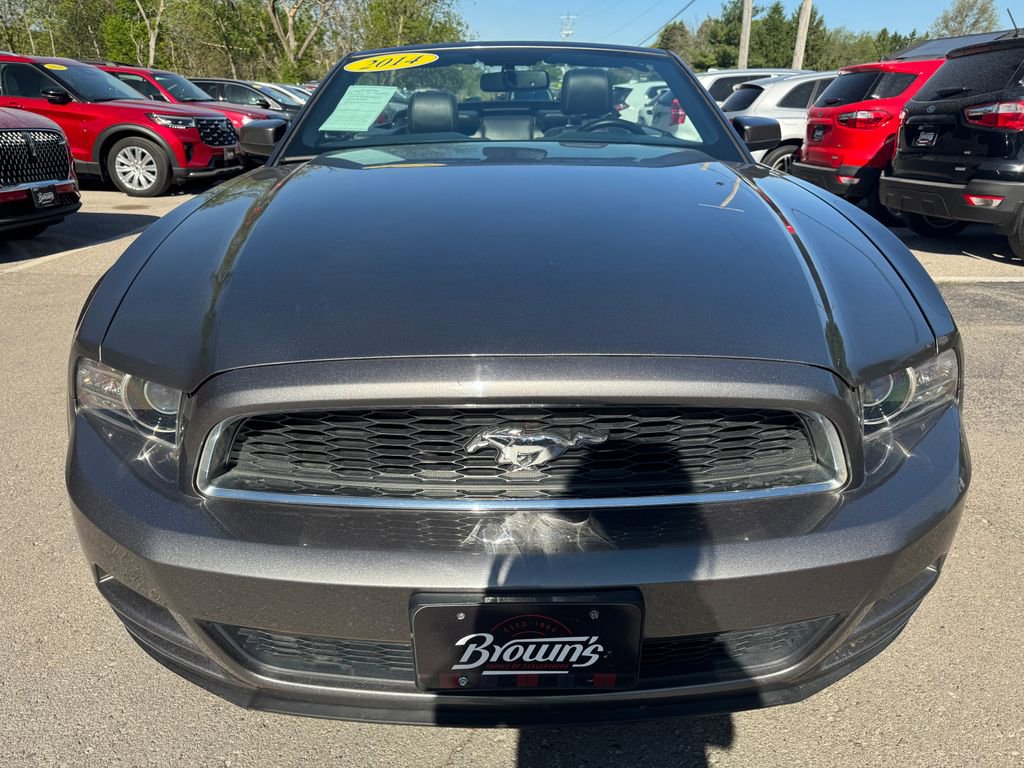 Used 2014 Ford Mustang Premium RWD image 3