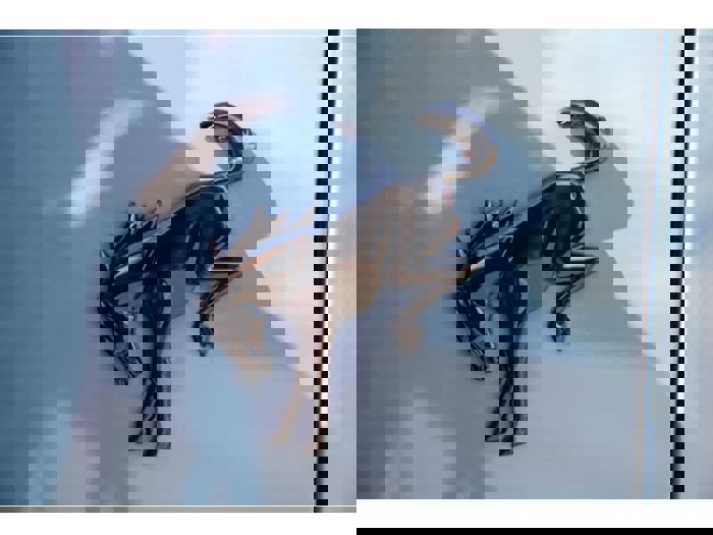 Used 2022 Ford Bronco Wildtrak image 16