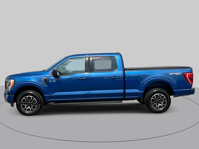 Used 2023 Ford F150 XLT w/ Equipment Group 302A High AWD/4WD image 7