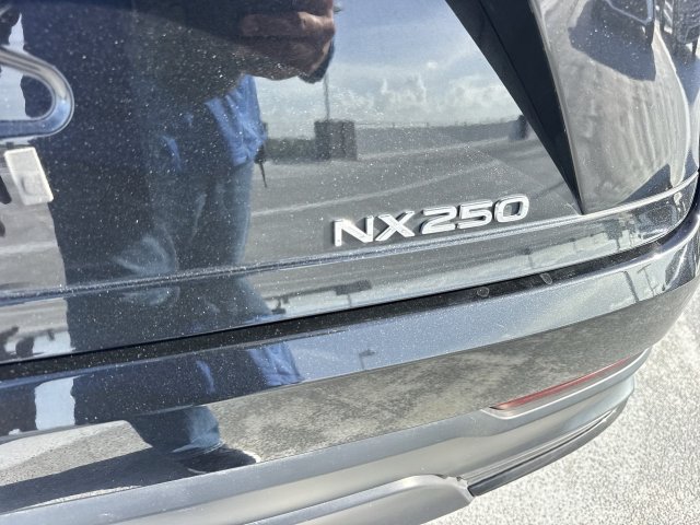Certified 2024 Lexus NX 250 FWD w/ Cold Area Package image 25