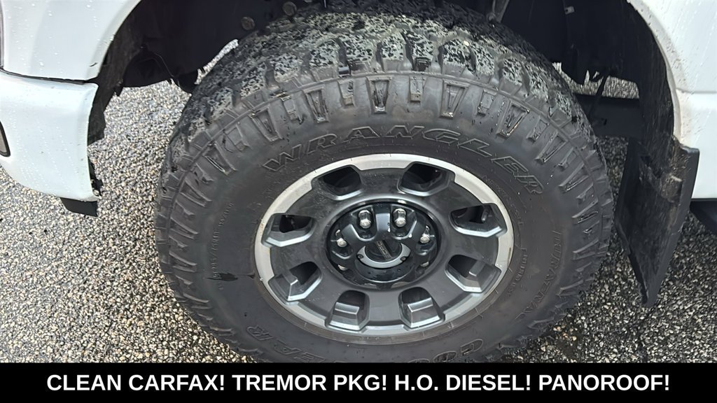 Used 2024 Ford F250 Platinum w/ Tremor Off-Road Package AWD/4WD image 31