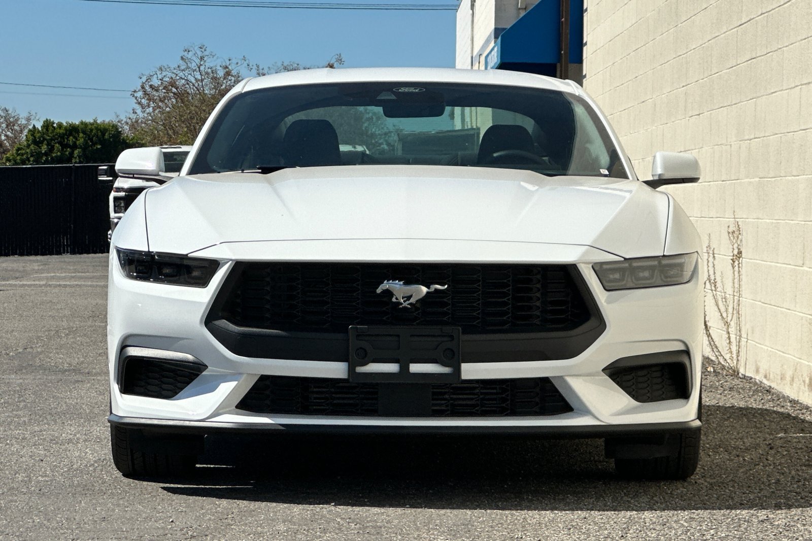 Used 2025 Ford Mustang Coupe RWD image 9