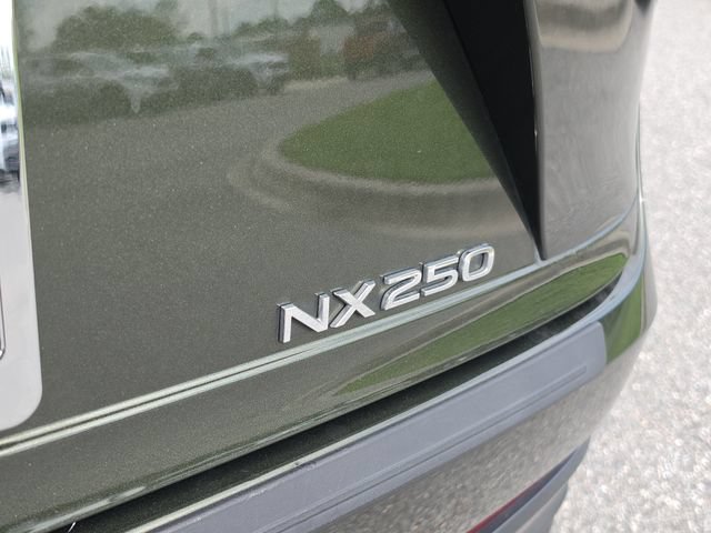 Used 2024 Lexus NX 250 FWD w/ Cold Area Package image 6