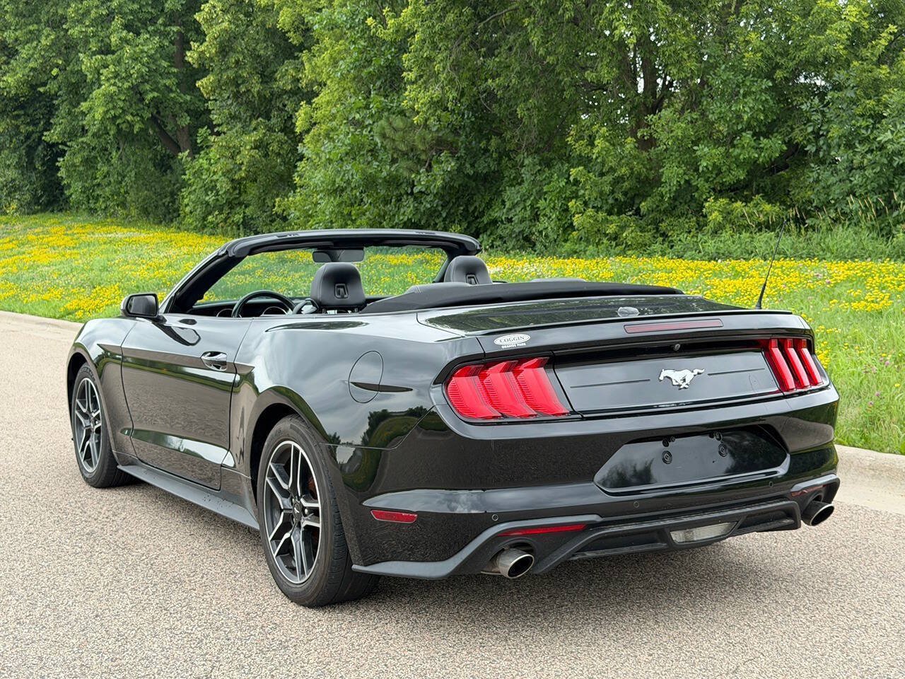 Used 2022 Ford Mustang Premium RWD image 5