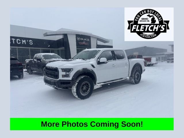 Used 2019 Ford F150 Raptor w/ Equipment Group 802A Luxury image 1