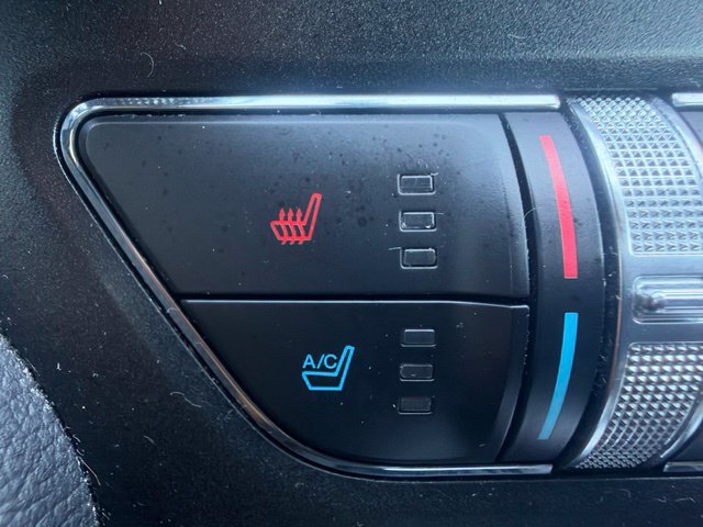 Used 2019 Ford Mustang GT Premium RWD image 16