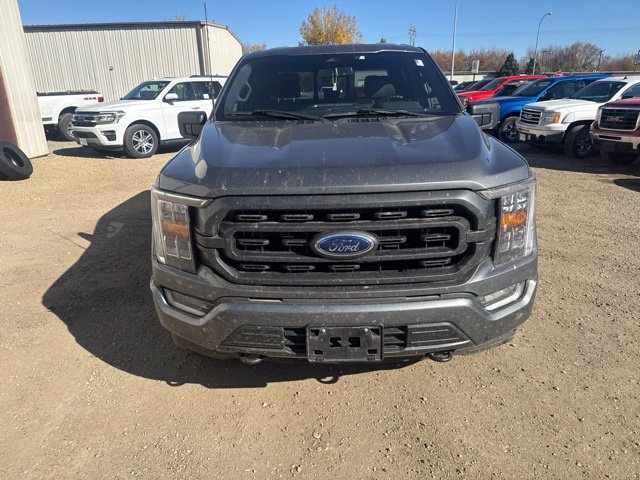 Used 2023 Ford F150 XLT w/ Equipment Group 302A High AWD/4WD image 6