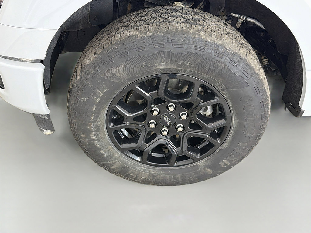 Used 2024 Ford F150 XLT w/ Equipment Group 302A MID AWD/4WD image 18