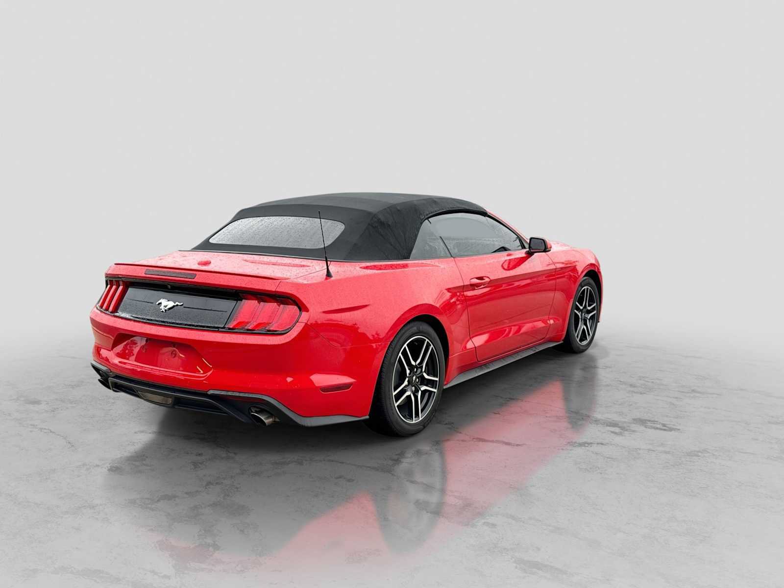 Certified 2019 Ford Mustang Premium w/ Equipment Group 201A RWD image 6