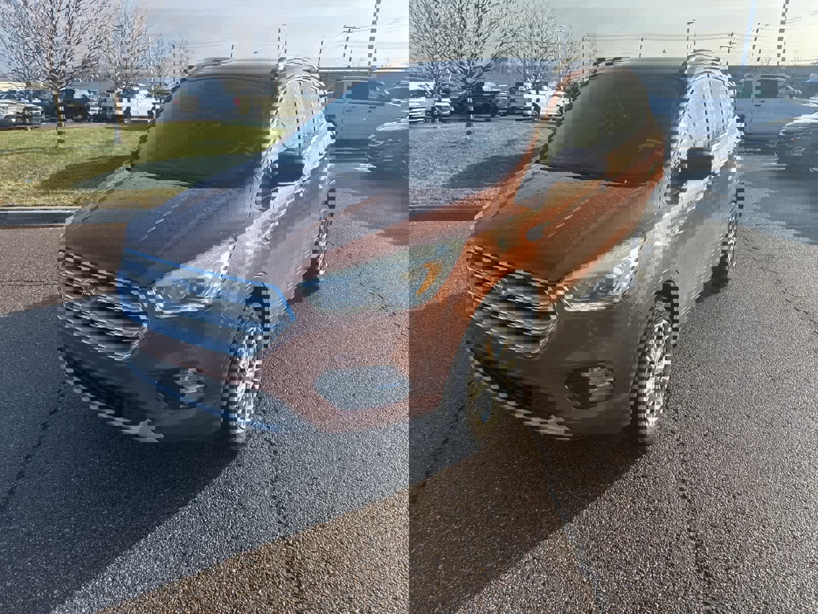 Used 2017 Ford Escape SE w/ Equipment Group 201A image 2