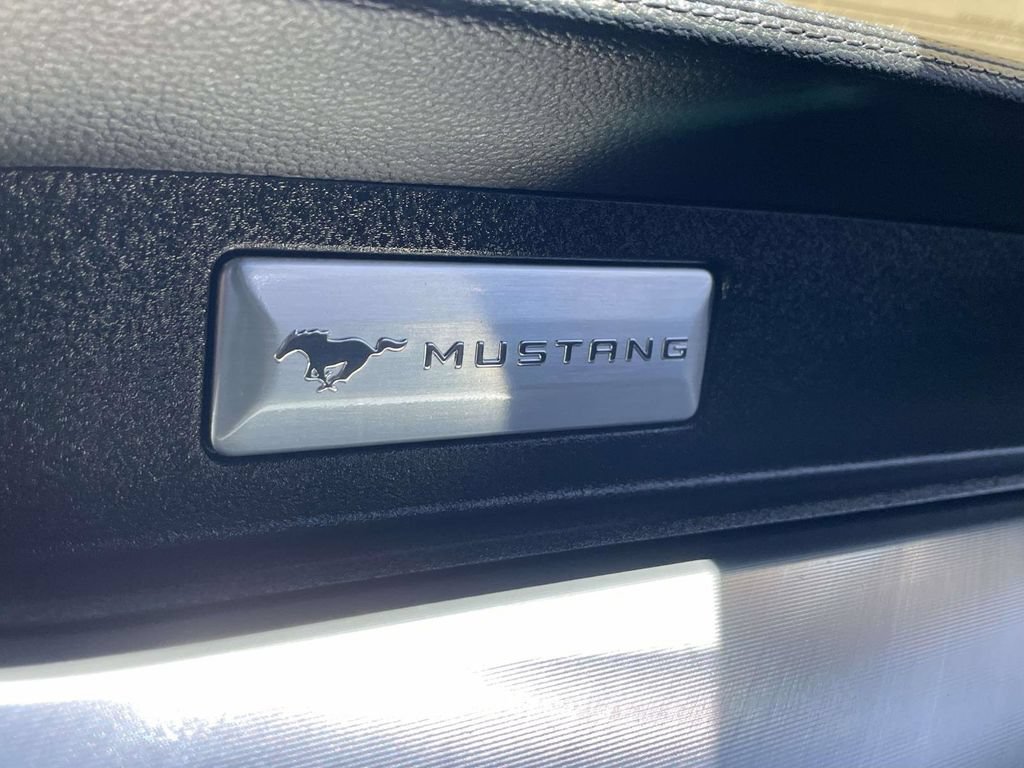 Used 2019 Ford Mustang GT Premium w/ Ford Safe & Smart Package RWD image 37