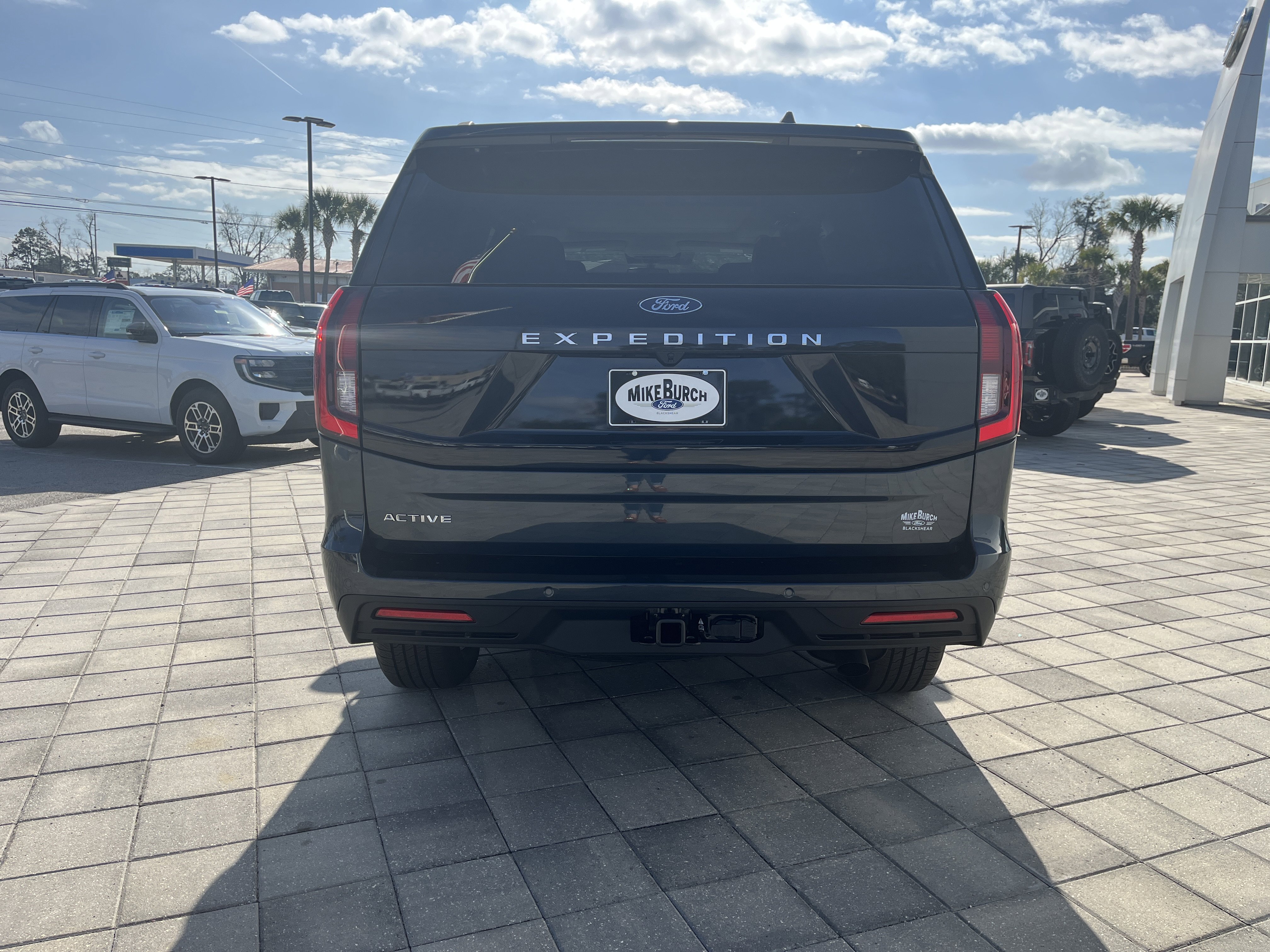 New 2025 Ford Expedition Active image 5