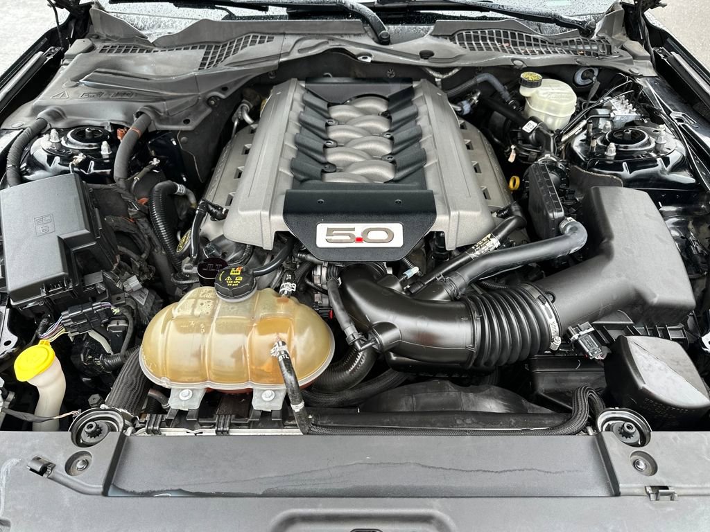 Used 2016 Ford Mustang GT w/ Interior & Wheel Package image 14