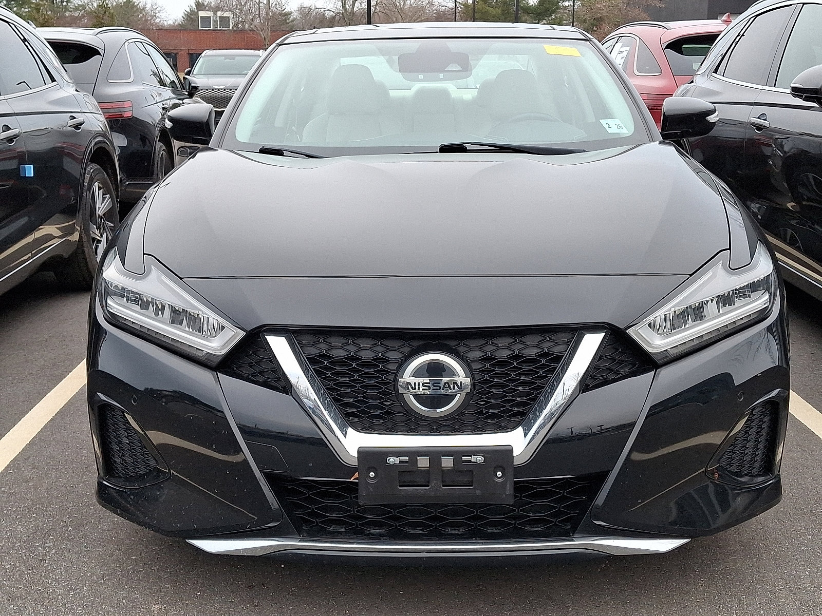 Used 2020 Nissan Maxima 3.5 SL w/ Floor Mat Group image 3