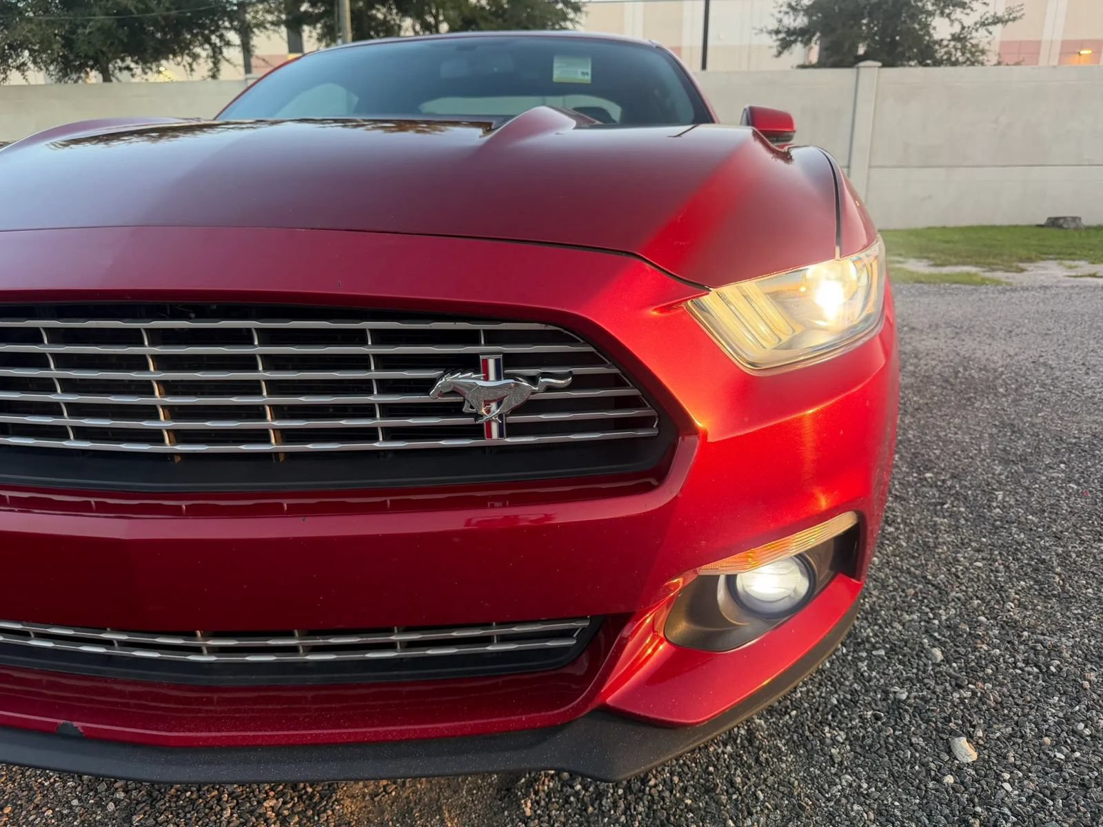 Used 2016 Ford Mustang Premium w/ Equipment Group 201A RWD image 23