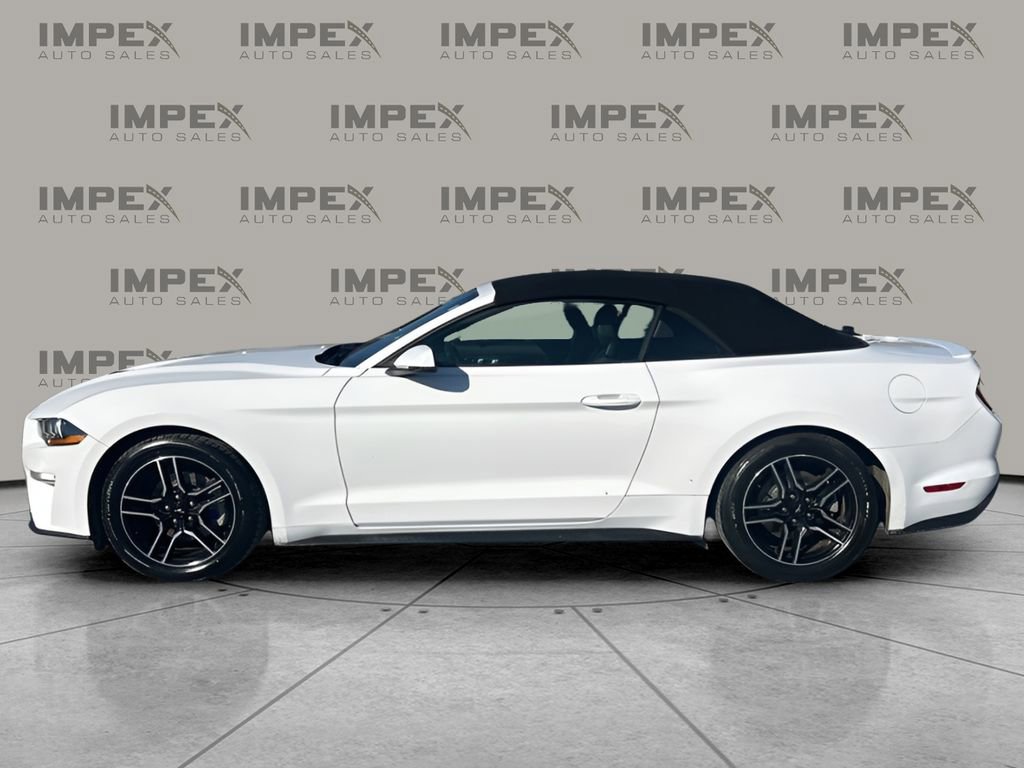 Used 2020 Ford Mustang Premium image 2