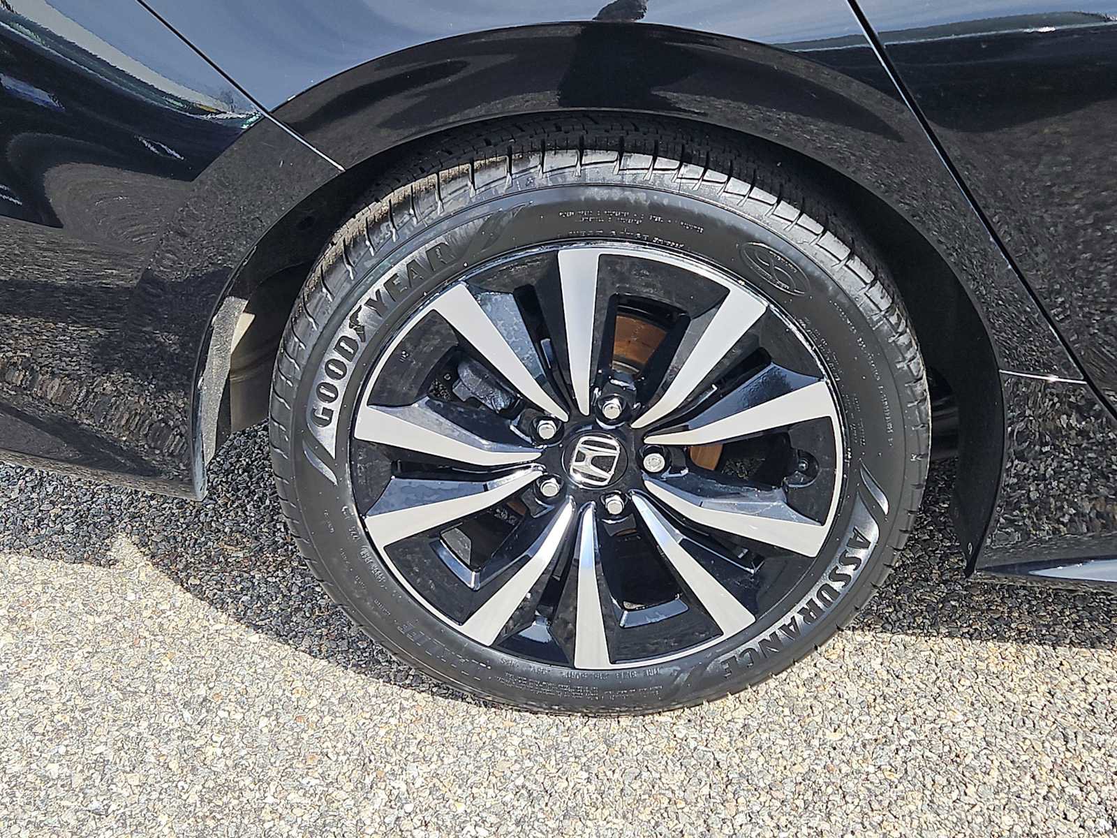 Certified 2024 Honda Civic EX image 9