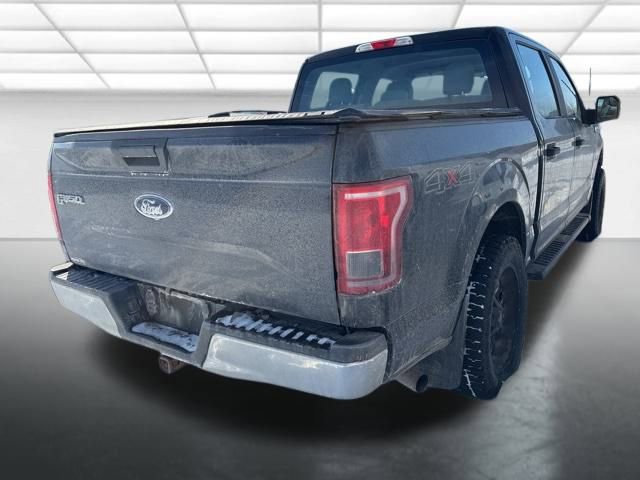 Used 2016 Ford F150 XL w/ Equipment Group 101A Mid image 4