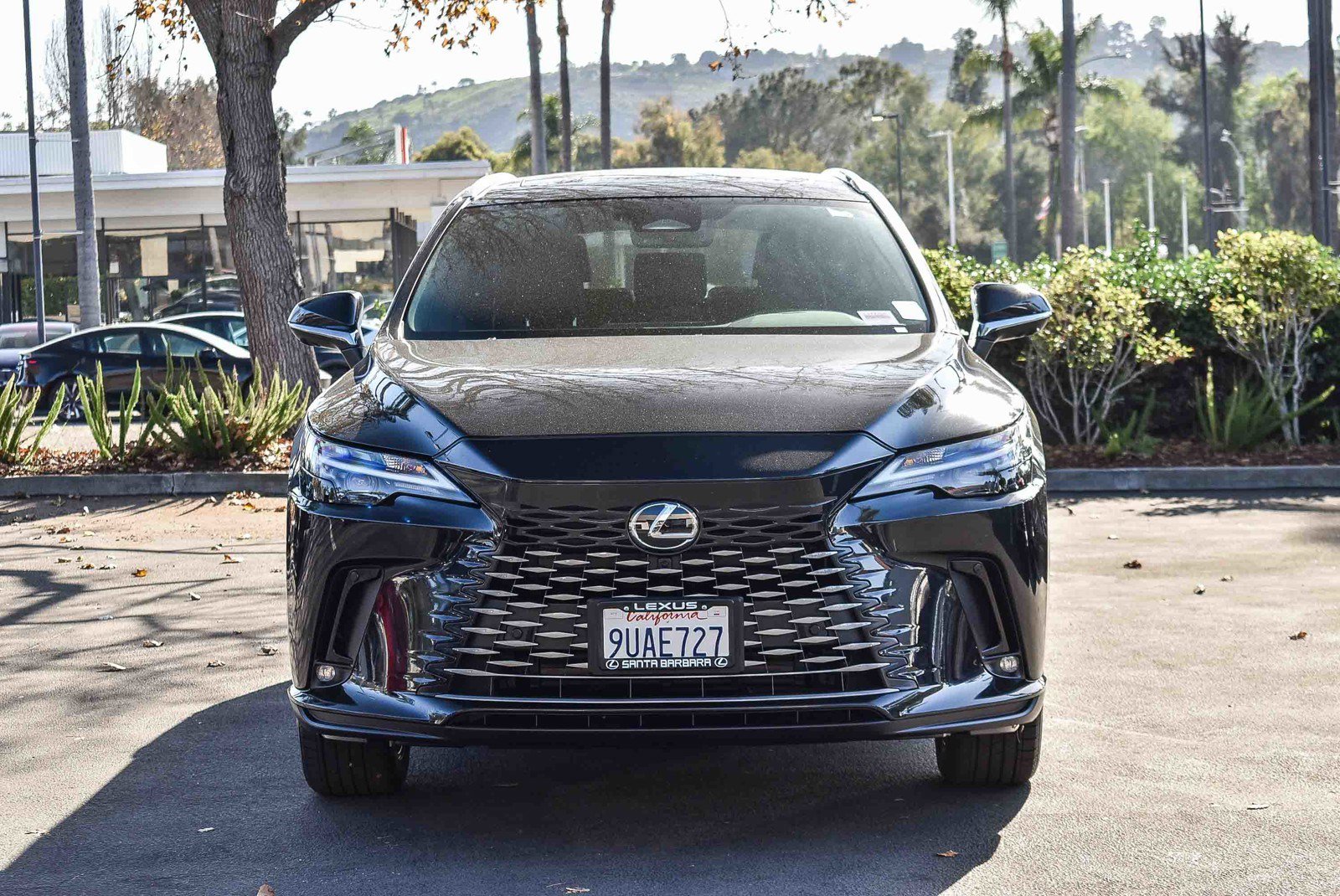 Used 2025 Lexus RX 350h image 2