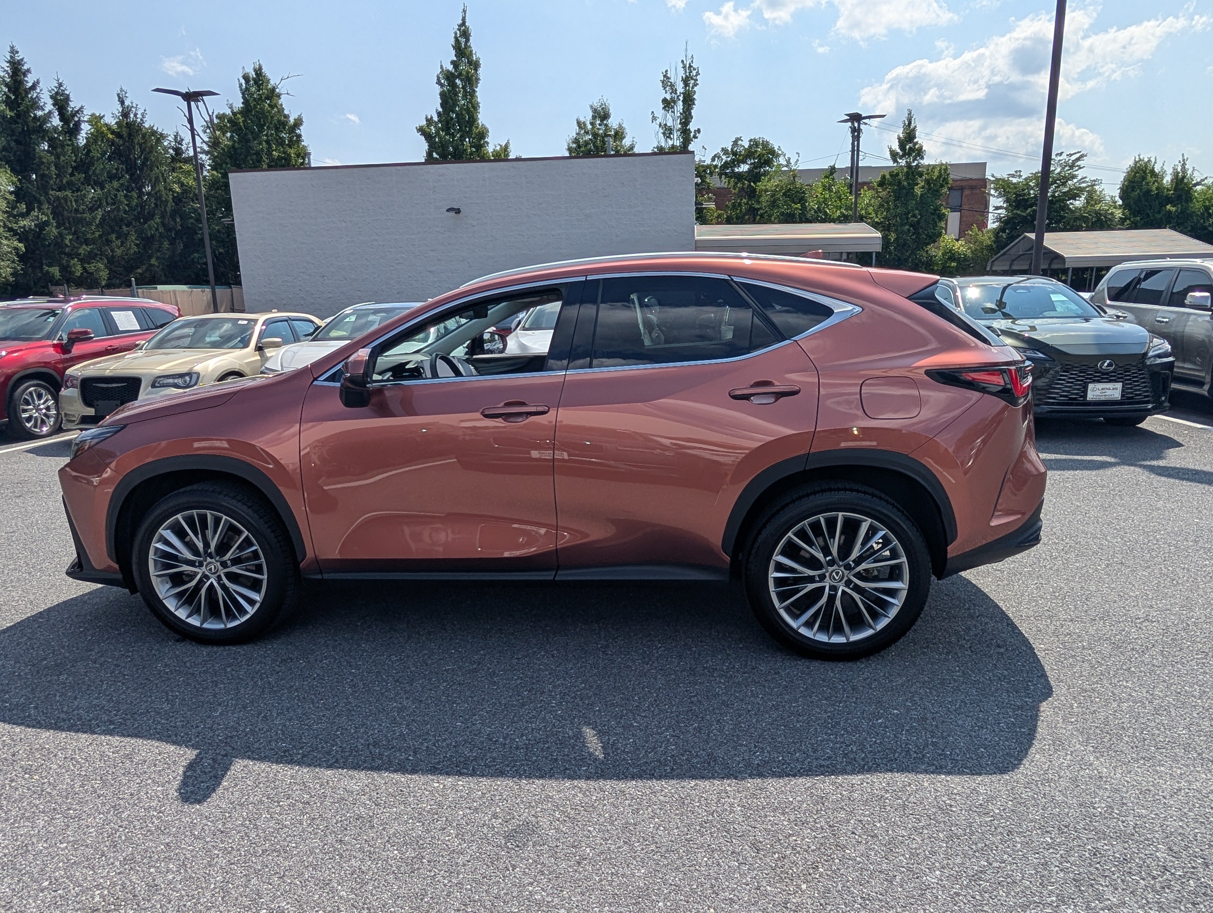 Certified 2025 Lexus NX 350h AWD w/ Cold Area Package image 6