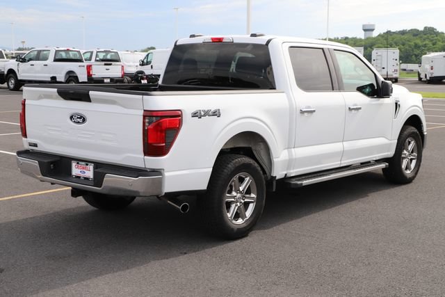 Used 2025 Ford F150 XLT w/ Equipment Group 301A Standard AWD/4WD image 7