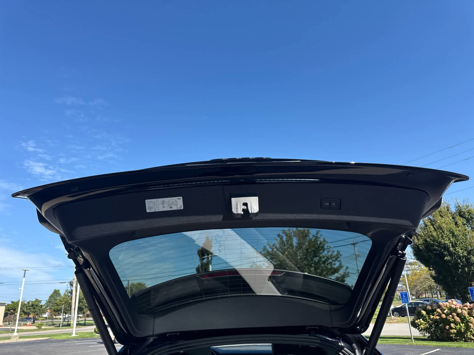 Certified 2025 Audi Q8 Premium w/ Black Optic Package image 31