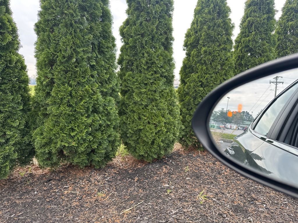 Used 2023 Hyundai Sonata SEL image 16