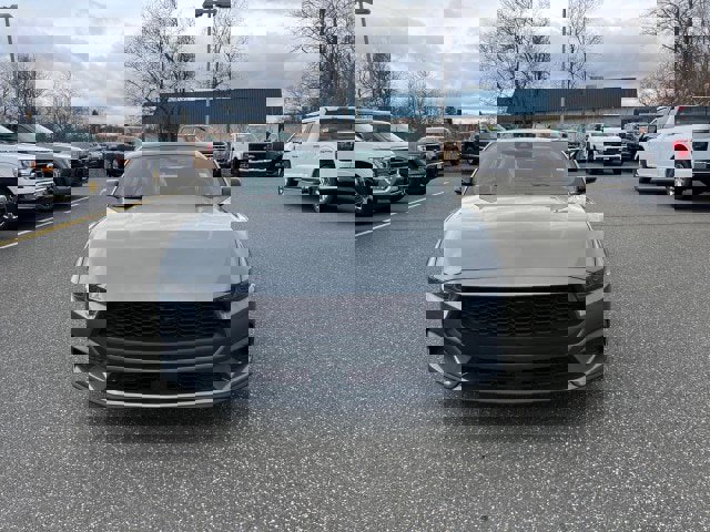 New 2026 Ford Mustang Coupe w/ Mustang Nite Pony Package image 31