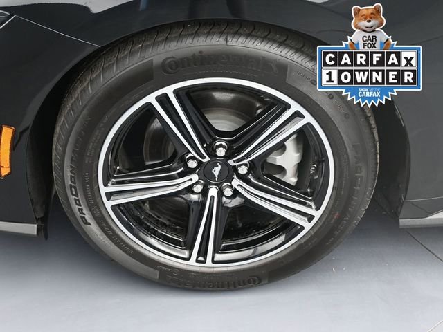 Used 2025 Ford Mustang Premium image 1