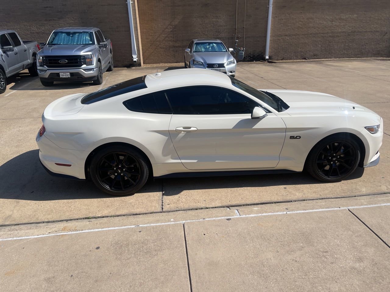 Used 2015 Ford Mustang 50 Years RWD image 8