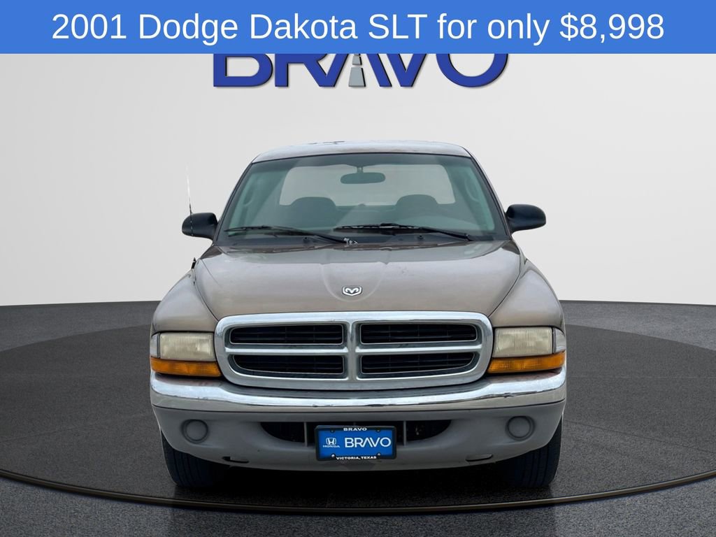 Used 2001 Dodge Dakota SLT RWD image 2