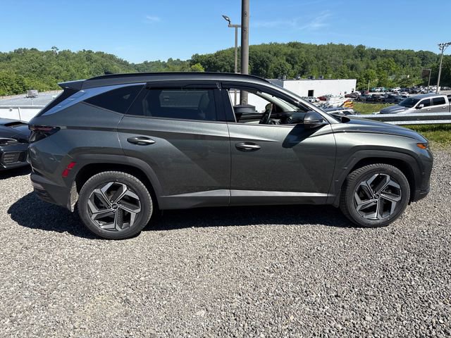 Used 2023 Hyundai Tucson Limited AWD/4WD image 6