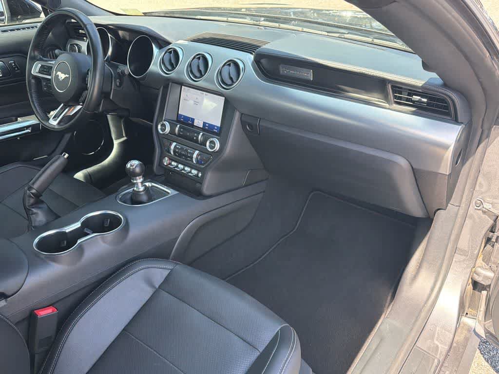 Used 2023 Ford Mustang GT Premium w/ Mustang Nite Pony Package RWD image 13