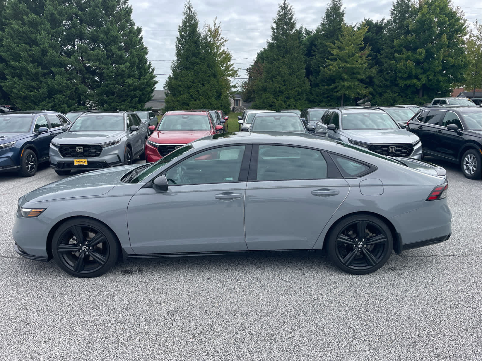 Used 2024 Honda Accord Sport image 2