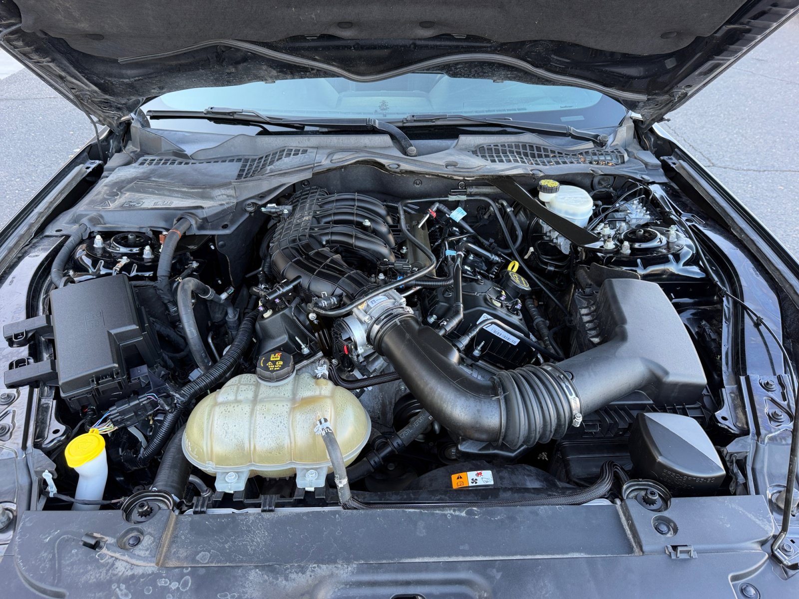 Used 2017 Ford Mustang Convertible RWD image 21