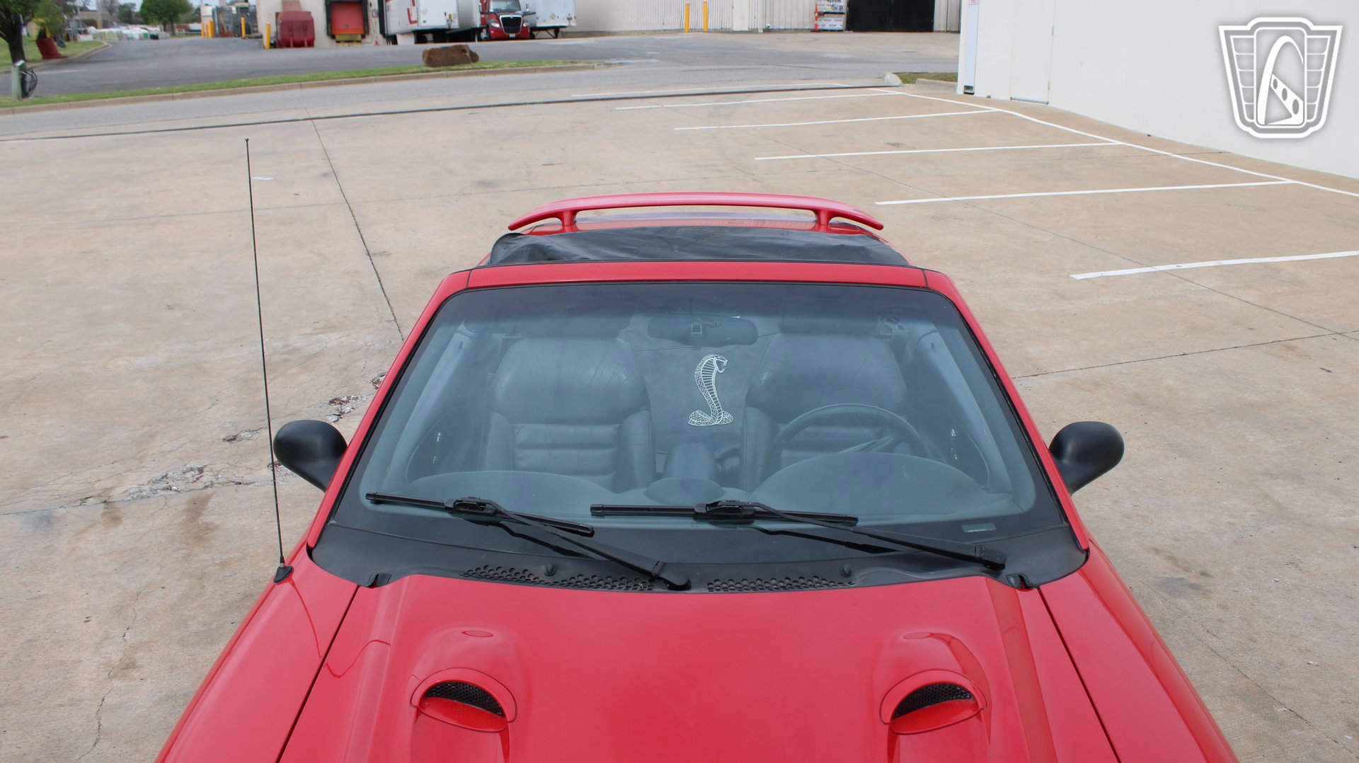 Used 1997 Ford Mustang Cobra RWD image 11