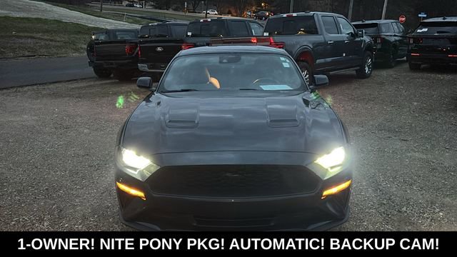 Used 2023 Ford Mustang Coupe w/ Equipment Group 101A image 6