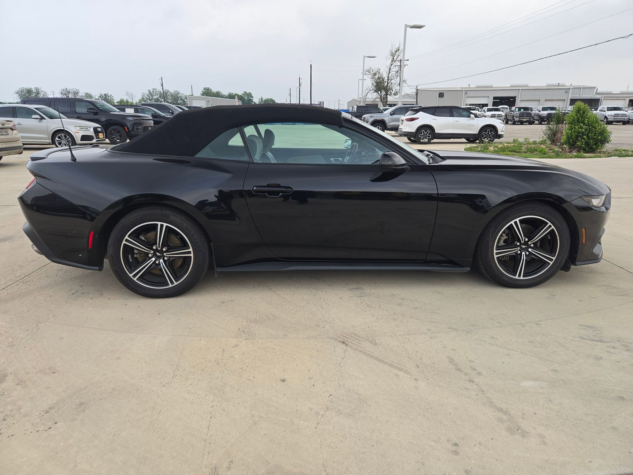 Used 2024 Ford Mustang Premium RWD image 2