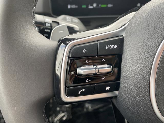 New 2026 Kia Carnival SX w/ SX Dark Edition Package image 32