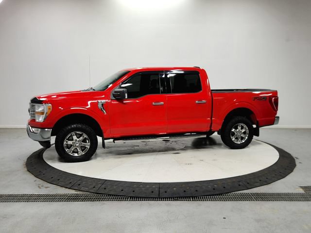 Used 2021 Ford F150 XLT w/ Equipment Group 301A Mid AWD/4WD image 5