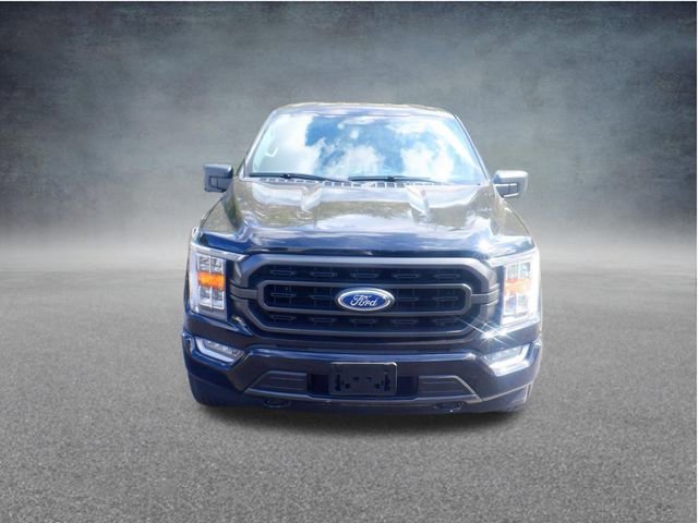 Used 2023 Ford F150 XLT w/ Equipment Group 302A High AWD/4WD image 2