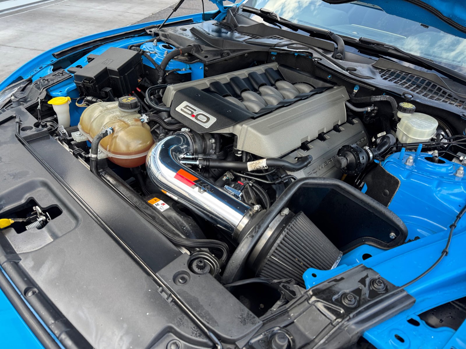 Used 2017 Ford Mustang GT Premium w/ Equipment Group 401A image 22