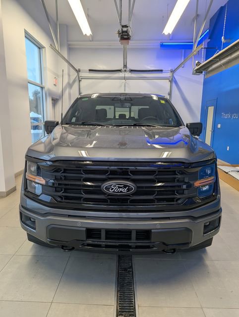 New 2025 Ford F150 XLT w/ Equipment Group 302A MID image 2