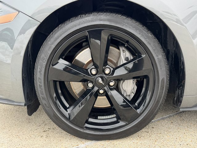 Used 2022 Ford Mustang GT Premium w/ Equipment Group 401A image 12