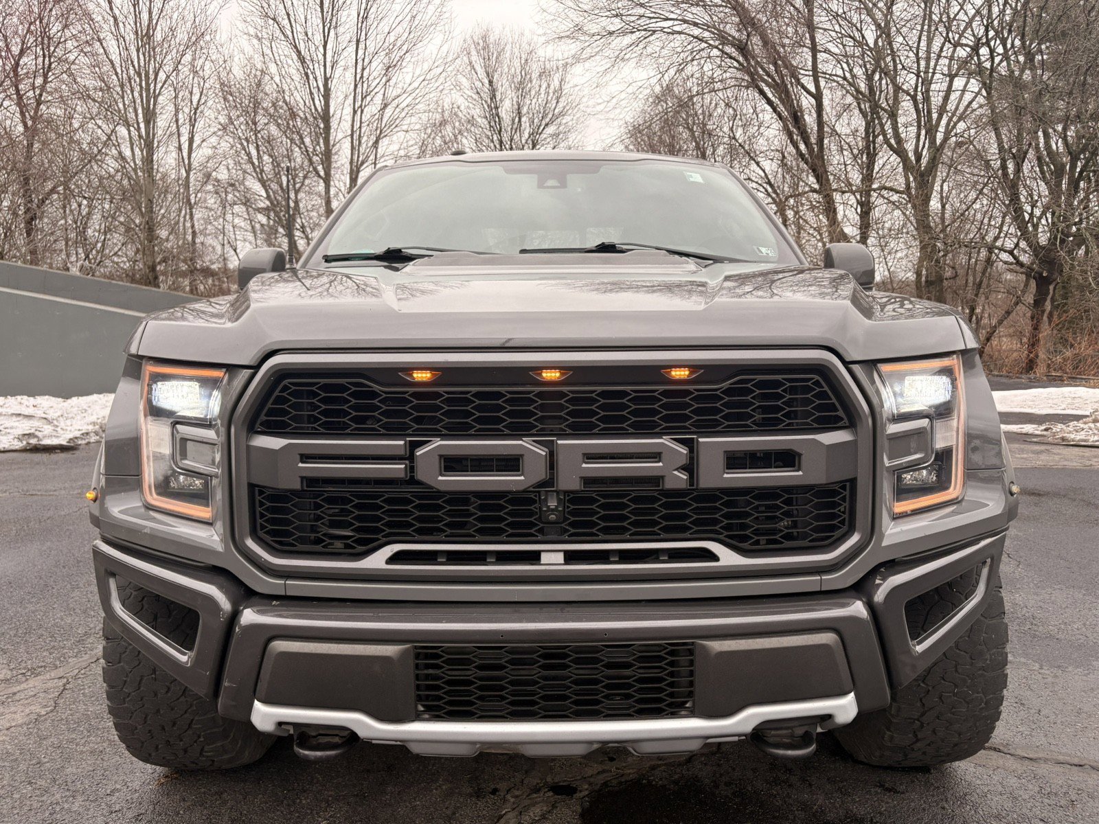 Used 2018 Ford F150 Raptor w/ Equipment Group 802A Luxury image 2