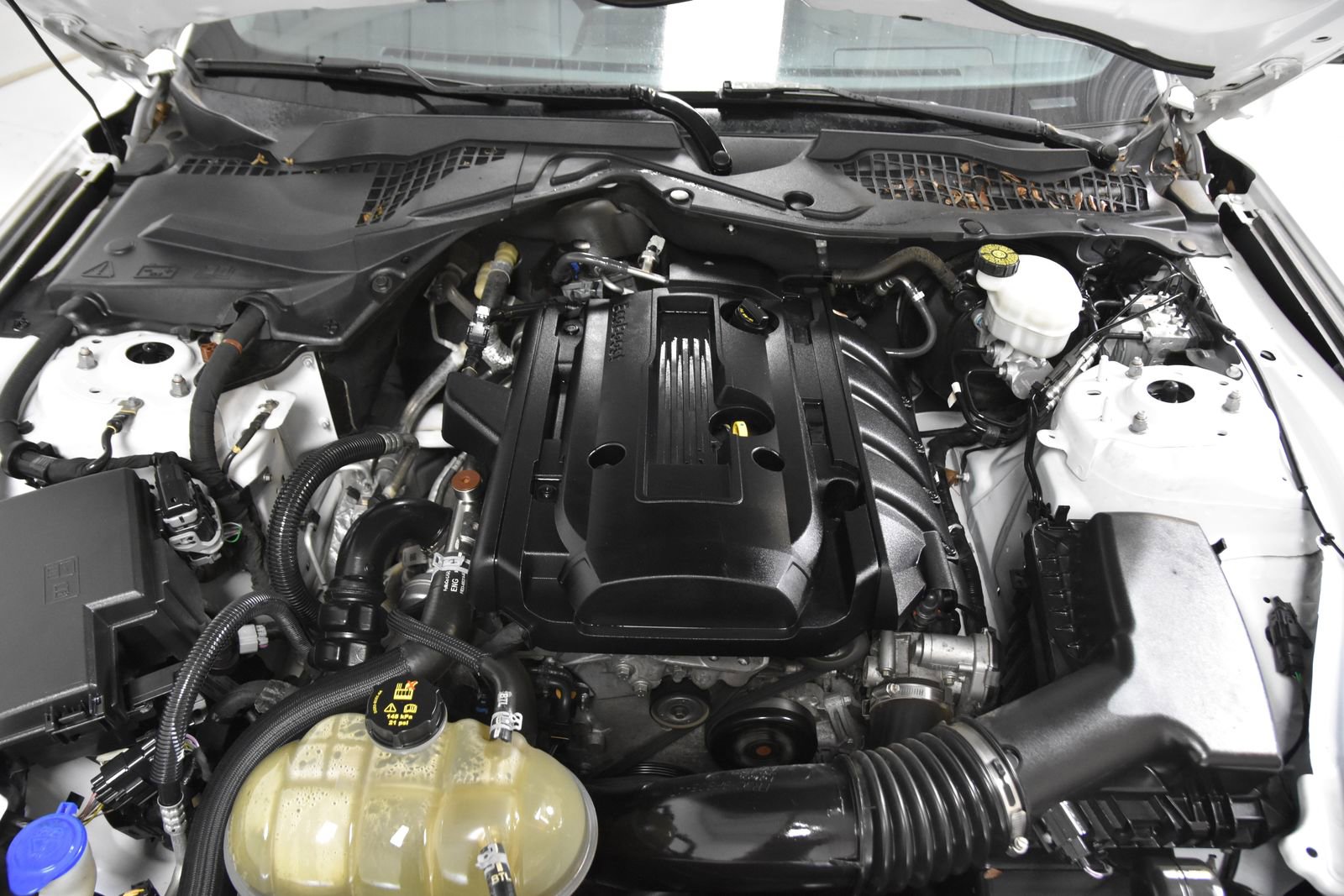 Used 2021 Ford Mustang Coupe w/ Equipment Group 101A RWD image 36