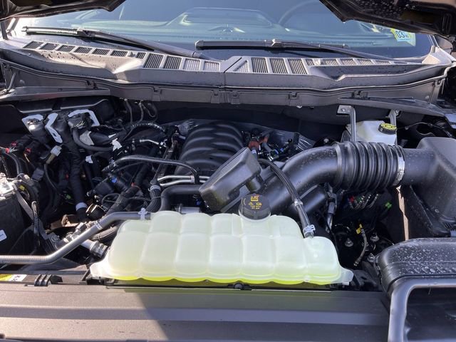 New 2026 Ford F150 XLT image 12