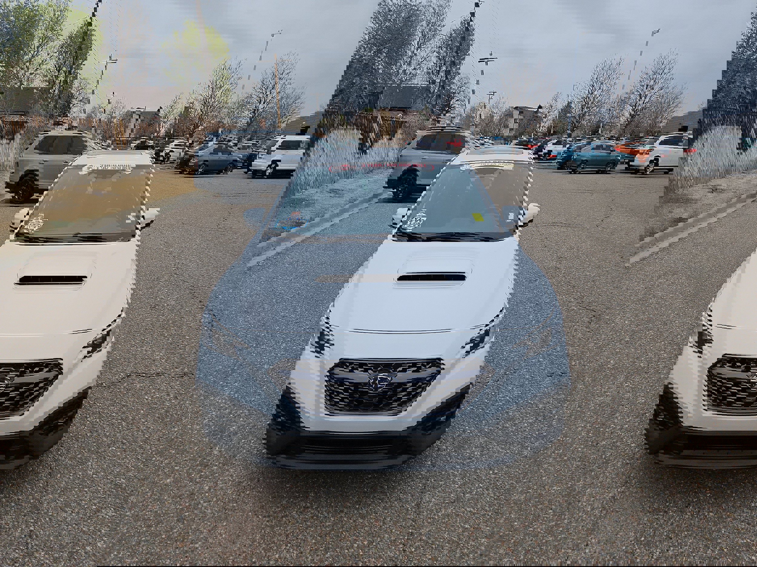 Used 2024 Subaru WRX Limited image 6