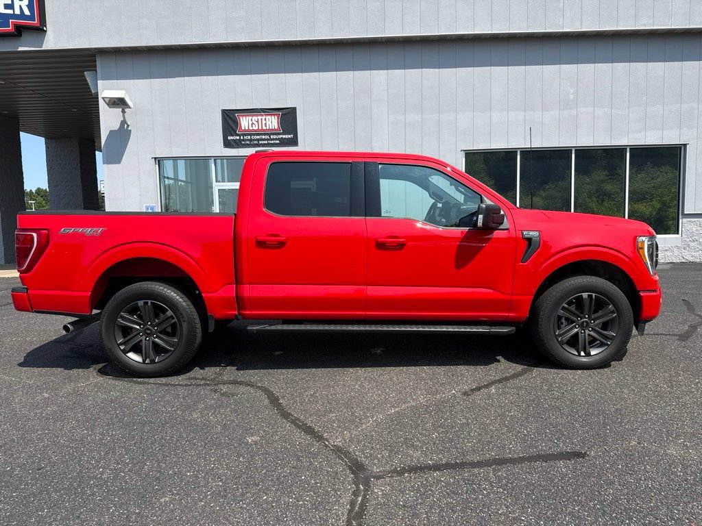 Used 2023 Ford F150 XLT w/ Equipment Group 302A High AWD/4WD image 2