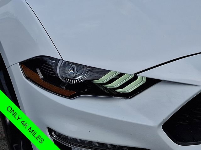 Used 2023 Ford Mustang Premium w/ Equipment Group 201A image 10